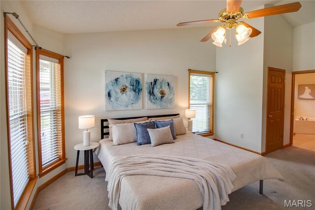 101 Serenity Dr, Alton, IL 62002 - photo 29