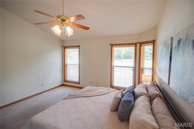 101 Serenity Dr, Alton, IL 62002 - photo 30
