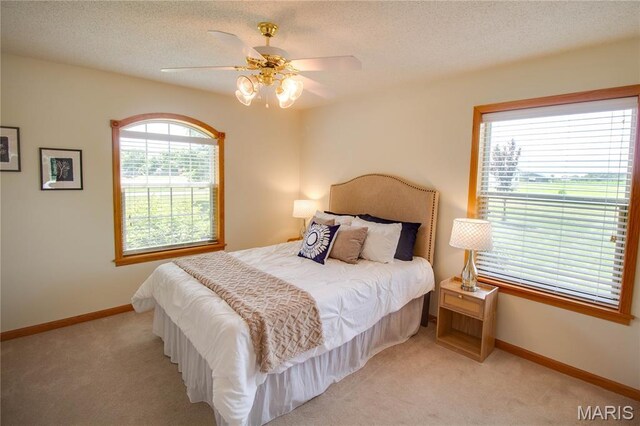 101 Serenity Dr, Alton, IL 62002 - photo 35