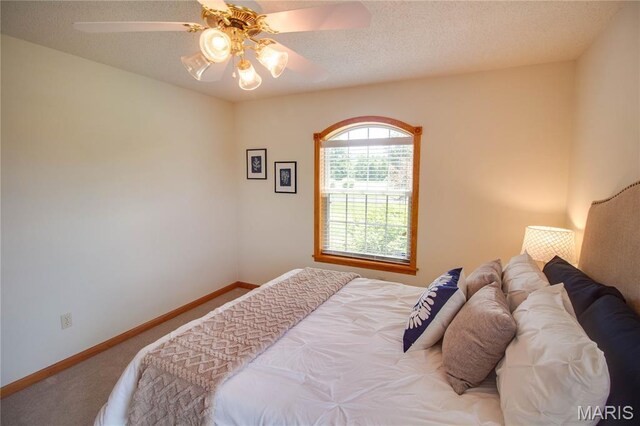 101 Serenity Dr, Alton, IL 62002 - photo 37
