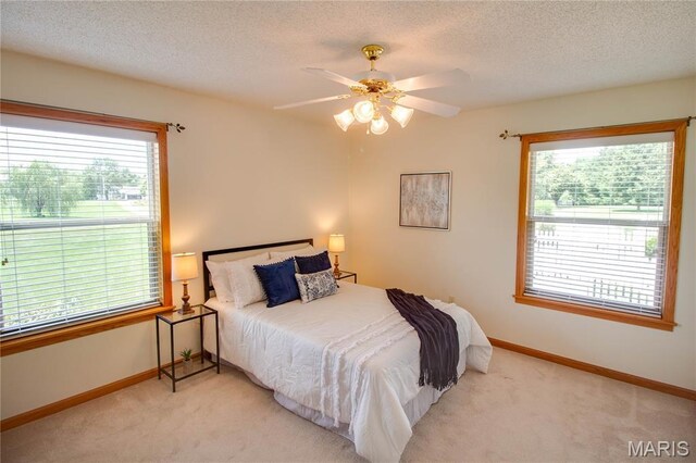 101 Serenity Dr, Alton, IL 62002 - photo 40