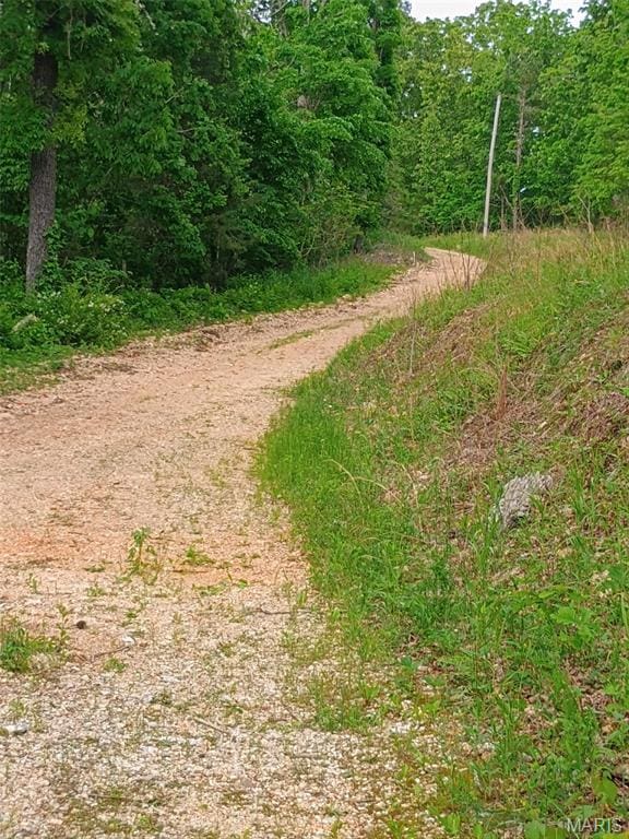 16680 Cantrell Dr W, Licking, MO 65542 - photo 19