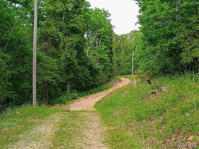 16680 Cantrell Dr W, Licking, MO 65542 - photo 20