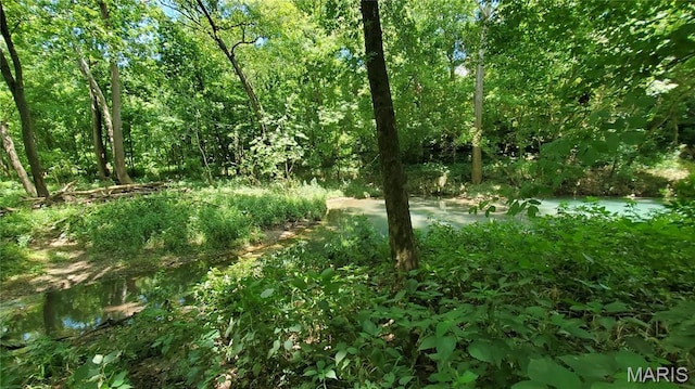 16680 Cantrell Dr W, Licking, MO 65542 - photo 36
