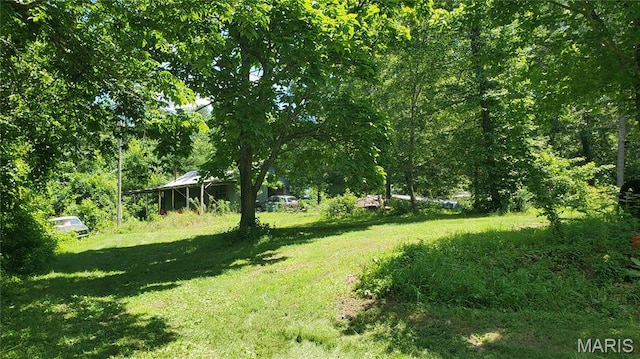 16680 Cantrell Dr W, Licking, MO 65542 - photo 45