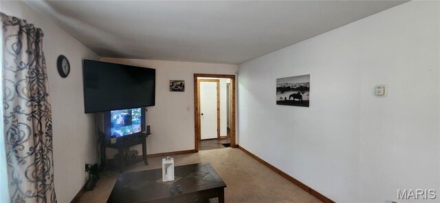 66 Dogwood Ln, Steelville, MO 65565 - photo 9