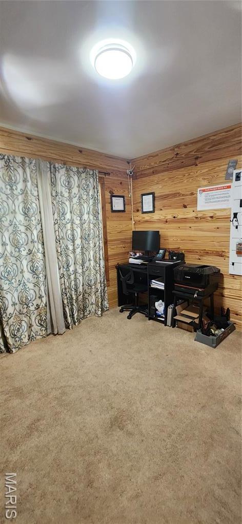 66 Dogwood Ln, Steelville, MO 65565 - photo 20
