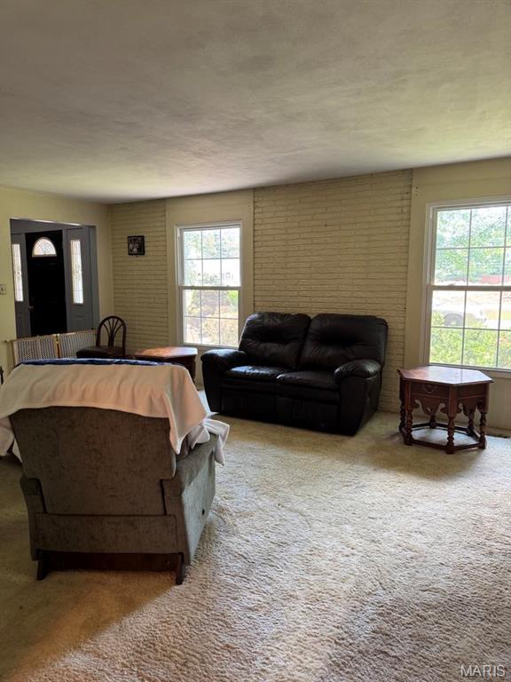 113 Lakeland Hills Dr, Fairview Heights, IL 62208 - photo 18