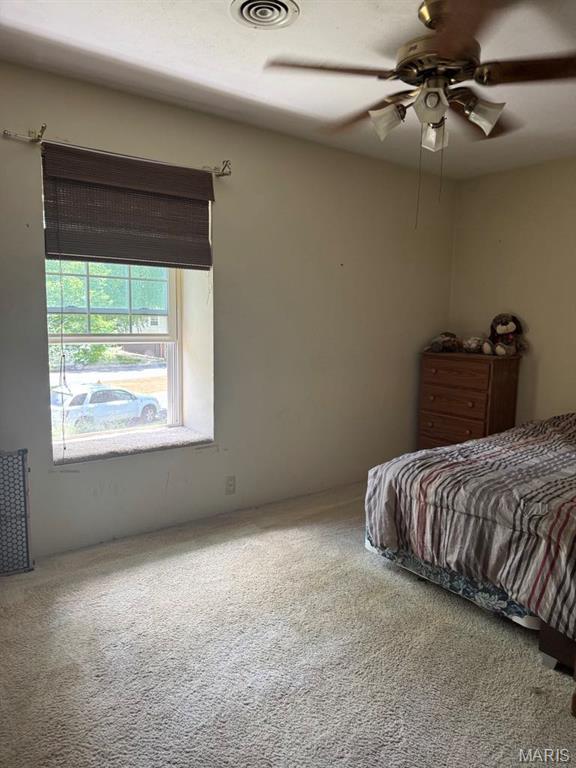 113 Lakeland Hills Dr, Fairview Heights, IL 62208 - photo 31