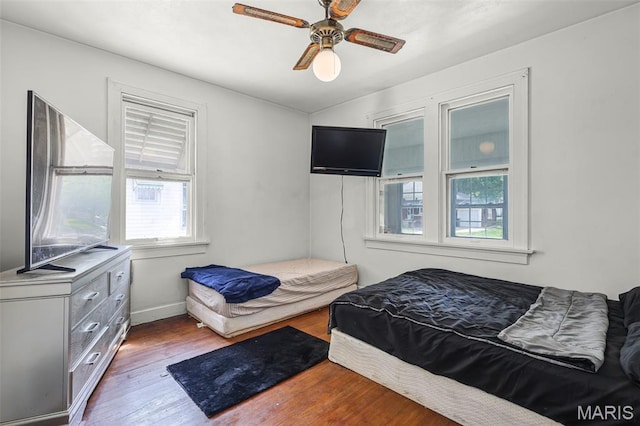 125 N 41st St, Belleville, IL 62226 - bedroom featuring multiple windows, wood-type flooring, and ceiling fan