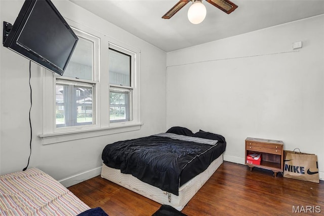 125 N 41st St, Belleville, IL 62226 - bedroom featuring wood finished floors and a ceiling fan