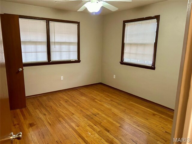 76 Cheshire Dr, Belleville, IL 62223 - empty room featuring light wood-style flooring, plenty of natural light, and ceiling fan