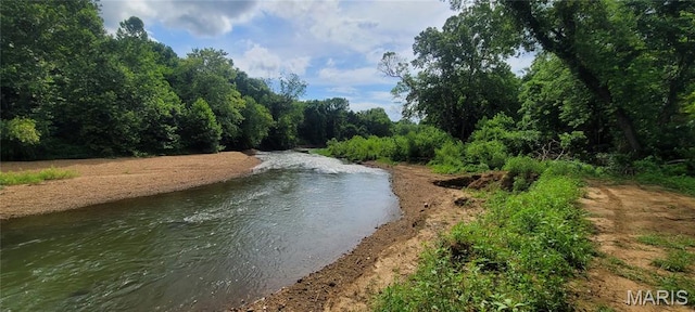 2173 Big River Trl, De Soto, MO 63020 - photo 10