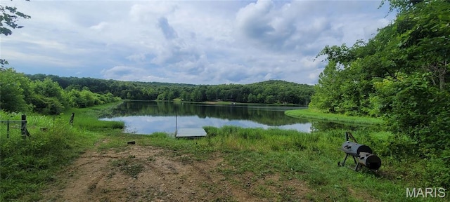 2173 Big River Trl, De Soto, MO 63020 - photo 14
