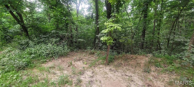 2173 Big River Trl, De Soto, MO 63020 - photo 5