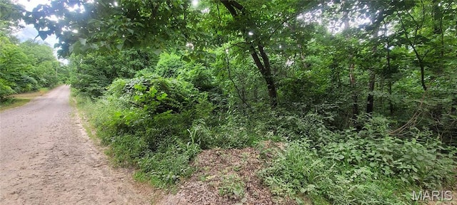 2173 Big River Trl, De Soto, MO 63020 - photo 6