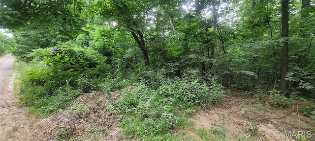 2173 Big River Trl, De Soto, MO 63020 - photo 7