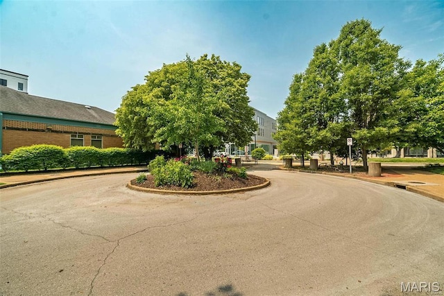 5683 Waterman Blvd Unit 2W, Saint Louis, MO 63112 - photo 2
