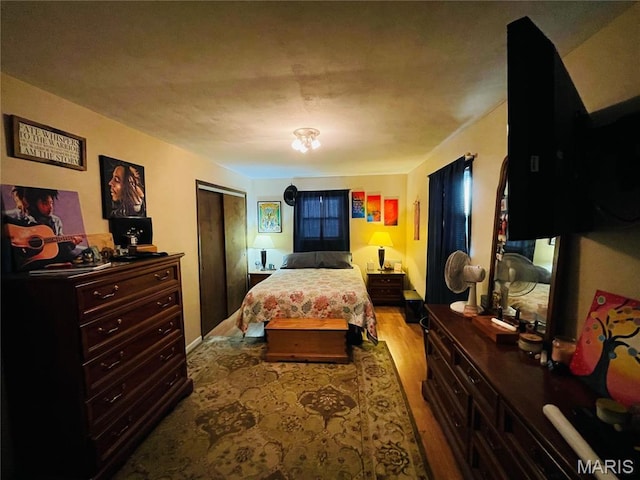 15315 Humbert Rd, Brighton, IL 62012 - bedroom featuring wood finished floors and a closet