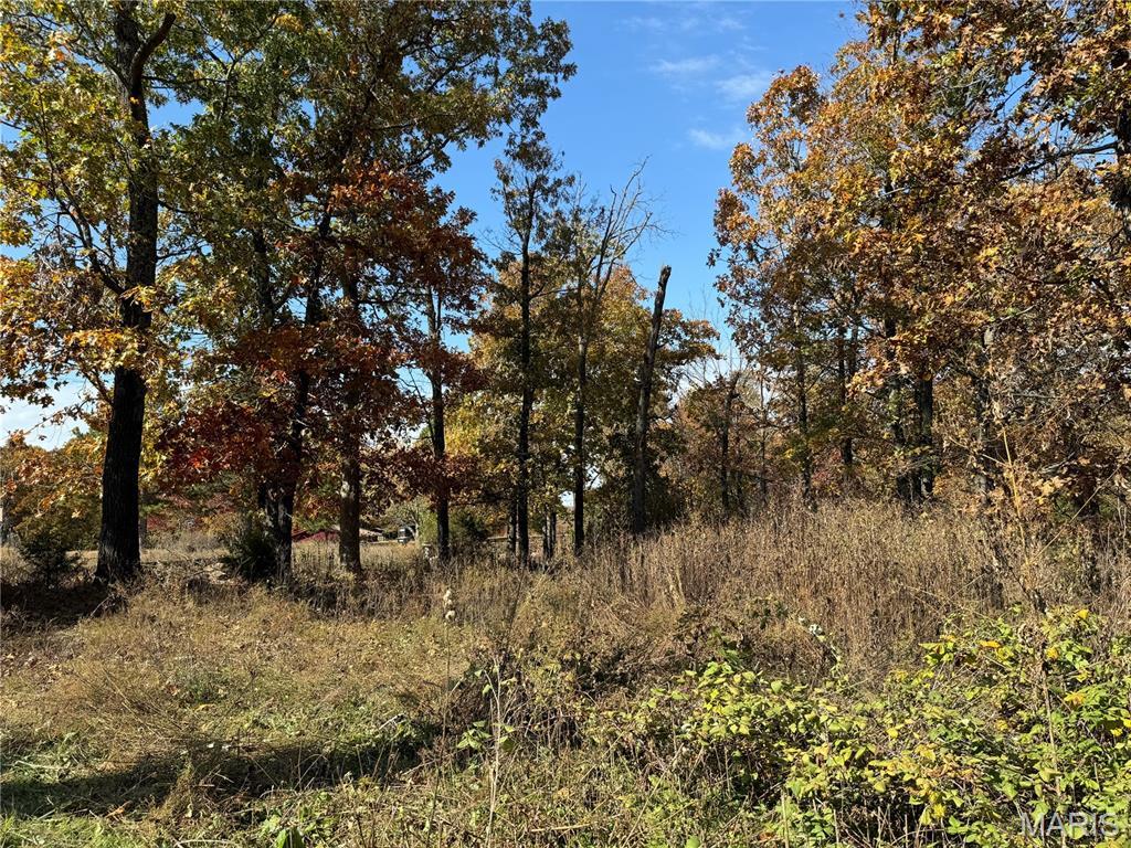 19677 Bean Creek Dr, Licking, MO 65542 - photo 1
