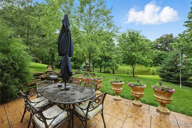 27 Carlton Lake Ct, Wentzville, MO 63385 - view of patio / terrace with outdoor dining area and view of scattered trees