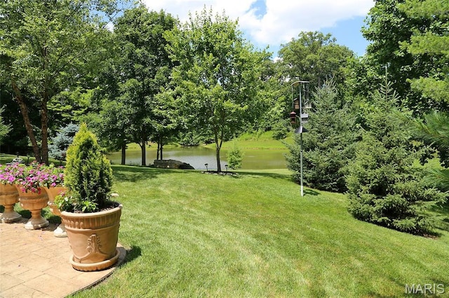 27 Carlton Lake Ct, Wentzville, MO 63385 - view of green lawn featuring a water view and view of wooded area