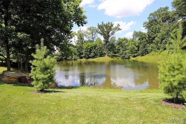 27 Carlton Lake Ct, Wentzville, MO 63385 - water view