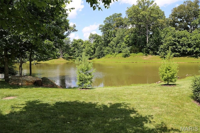 27 Carlton Lake Ct, Wentzville, MO 63385 - water view
