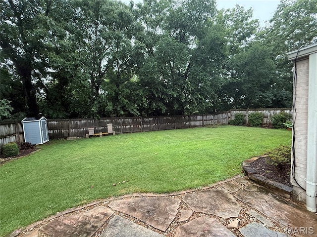 7337 Teasdale Ave, Saint Louis, MO 63130 - fenced backyard with a patio and a storage unit