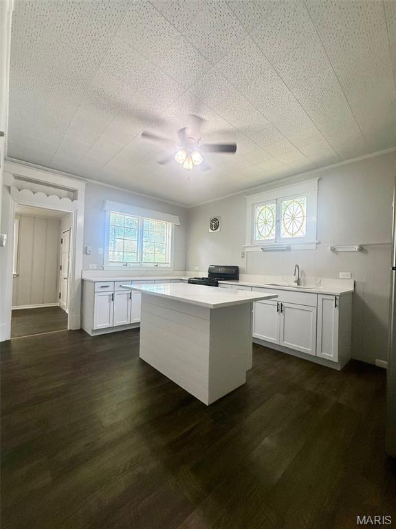 4707 Primm St, Saint Louis, MO 63116 - kitchen featuring light countertops, black range, ceiling fan, dark wood finished floors, and crown molding