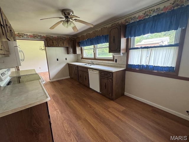 48 E N Ave, Ellsinore, MO 63937 - kitchen featuring white appliances, light countertops, dark wood-style floors, a ceiling fan, and dark brown cabinets