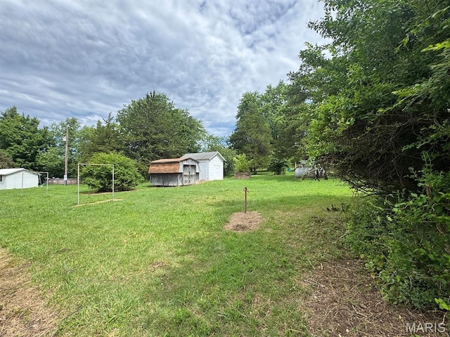 48 E N Ave, Ellsinore, MO 63937 - view of grassy yard featuring a shed