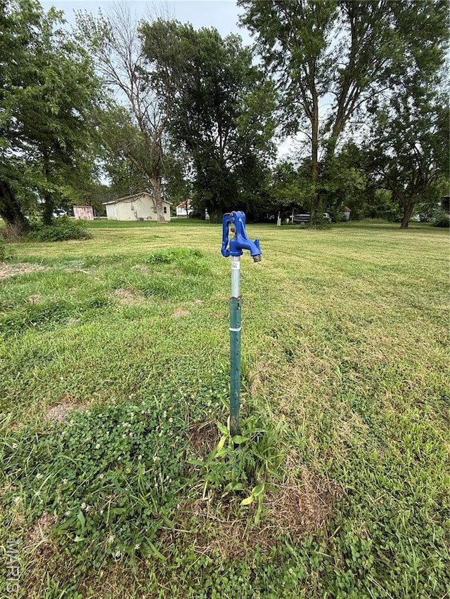 206 S Elm St, Bellflower, MO 63333 - photo 3