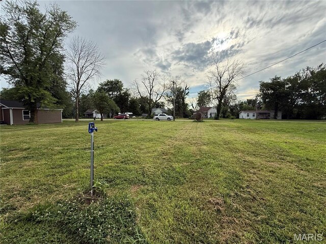 206 S Elm St, Bellflower, MO 63333 - photo 4