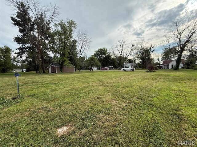 206 S Elm St, Bellflower, MO 63333 - photo 6