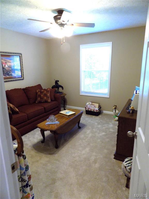 10095 Summerfield Dr, Rolla, MO 65401 - photo 24