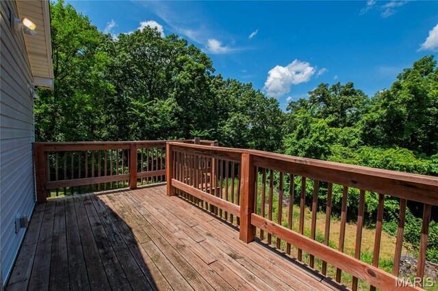 1819 Marble Springs Rd, Mo, MO 63012 - photo 25