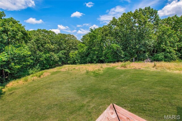 1819 Marble Springs Rd, Mo, MO 63012 - photo 40