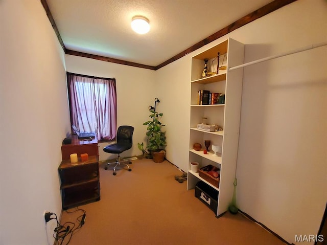 106 N Jackson St, Monticello, MO 63457 - photo 14