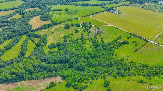 31337 Hudson Rd, Lebanon, MO 65536 - overview of rural landscape