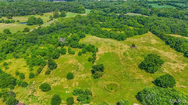 31337 Hudson Rd, Lebanon, MO 65536 - bird's eye view of a heavily wooded area