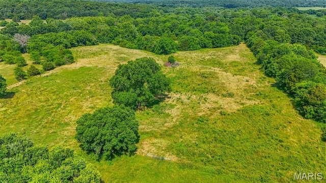 31337 Hudson Rd, Lebanon, MO 65536 - aerial view of a heavily wooded area
