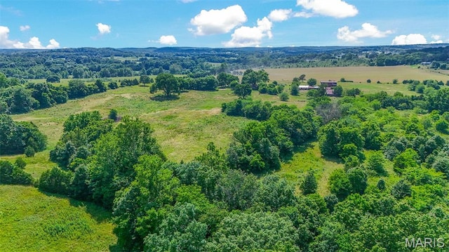 31337 Hudson Rd, Lebanon, MO 65536 - view of rural area