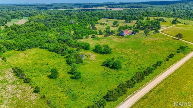 31337 Hudson Rd, Lebanon, MO 65536 - aerial view of a forest