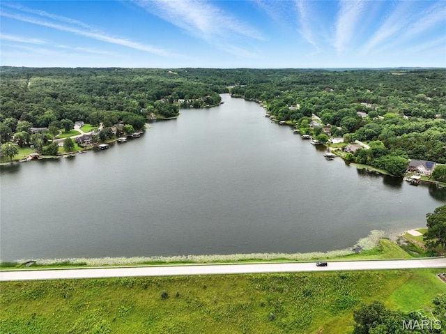 407 Trenton Dr, De Soto, MO 63020 - photo 24