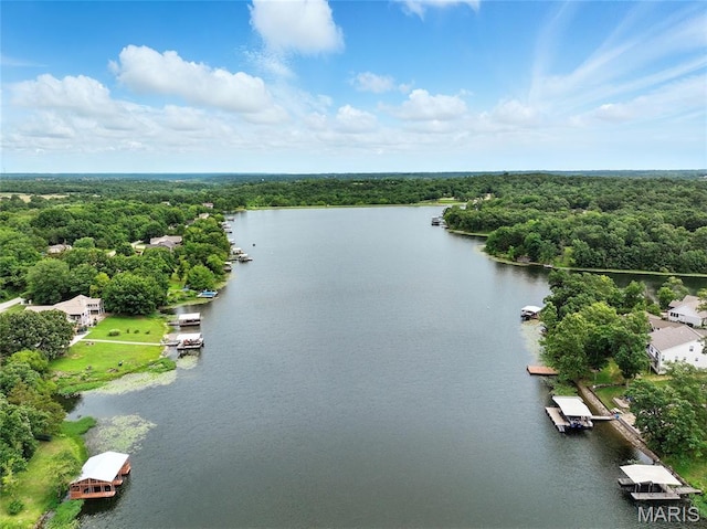 407 Trenton Dr, De Soto, MO 63020 - photo 27