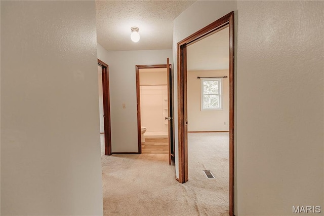 20055 Simmons Rd, Waynesville, MO 65583 - corridor with carpet floors and a textured ceiling