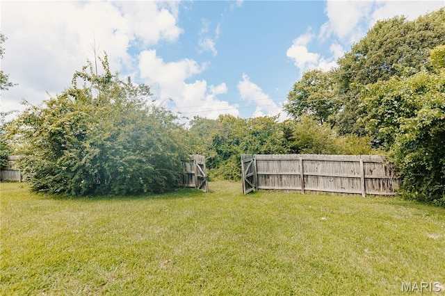 20055 Simmons Rd, Waynesville, MO 65583 - view of yard