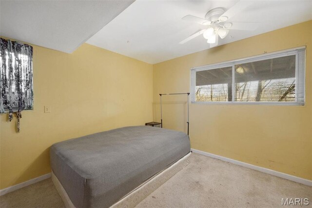 14060 Old Jamestown Rd, Black Jack, MO 63033 - photo 17