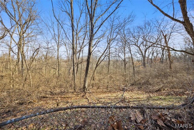14060 Old Jamestown Rd, Black Jack, MO 63033 - photo 28